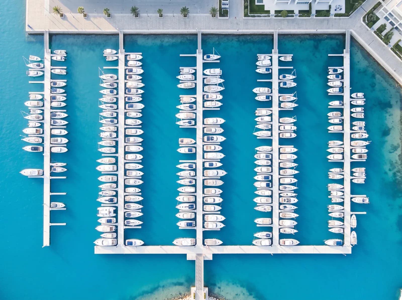 Illustration: a marina basin, each berth filmed on its own schedule